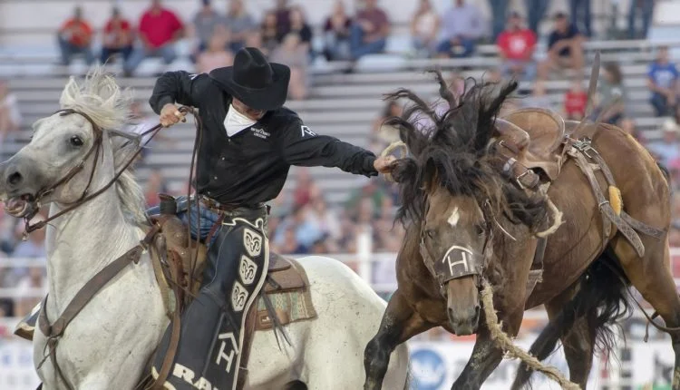 Como se tornar um atleta de rodeio