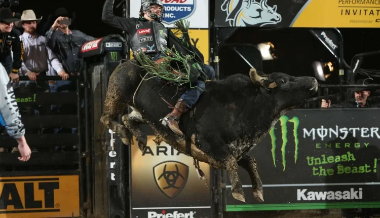 Bull Riding - O Guia Completo |