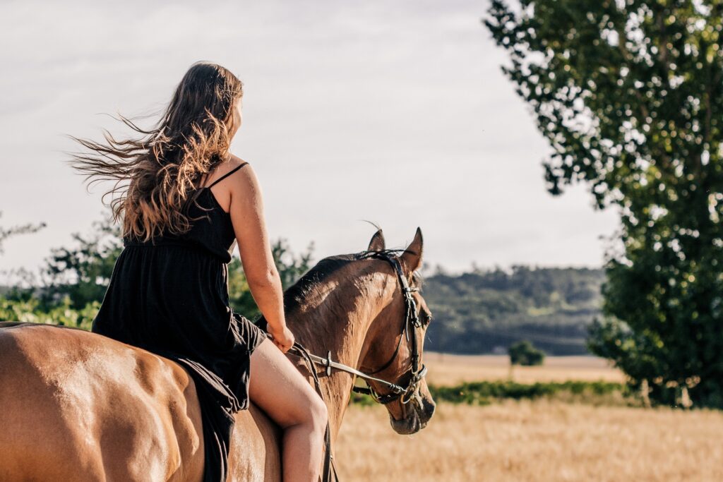 Explorando o Mundo do Cavalo Quarto de Milha: Guia Completo para Iniciantes |