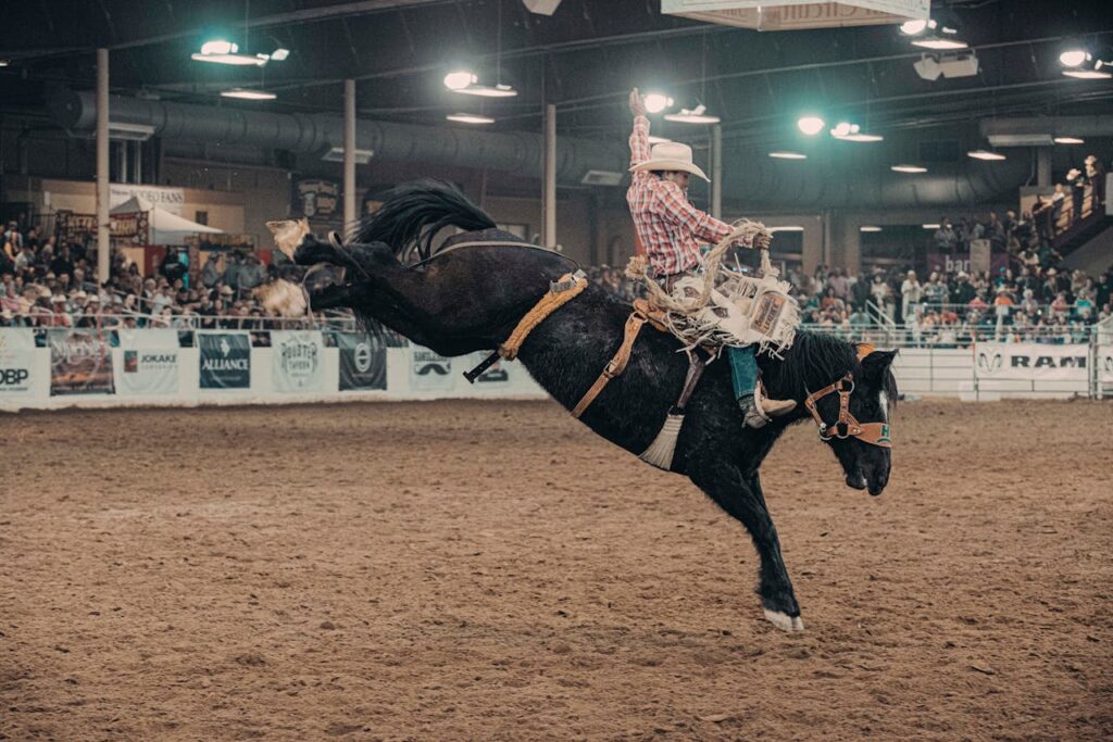 Além dos 8 Segundos: Guia Completo de Cuidados para Cavalos de Rodeio |